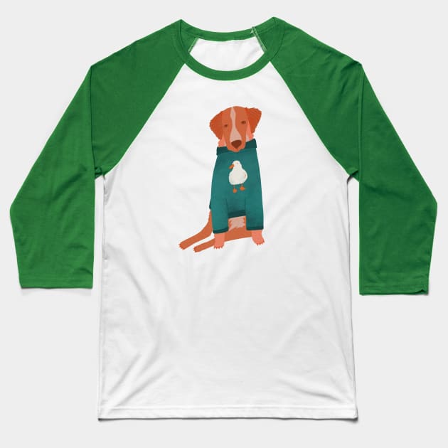 Nova Scotia Retriever in his favorite sweater Baseball T-Shirt by Kathy Osborne Studio